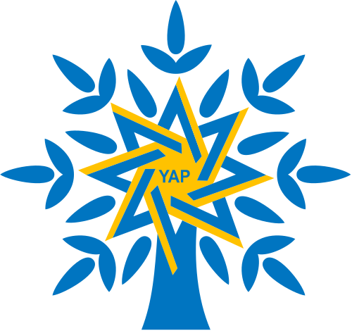 New Azerbaijan Party